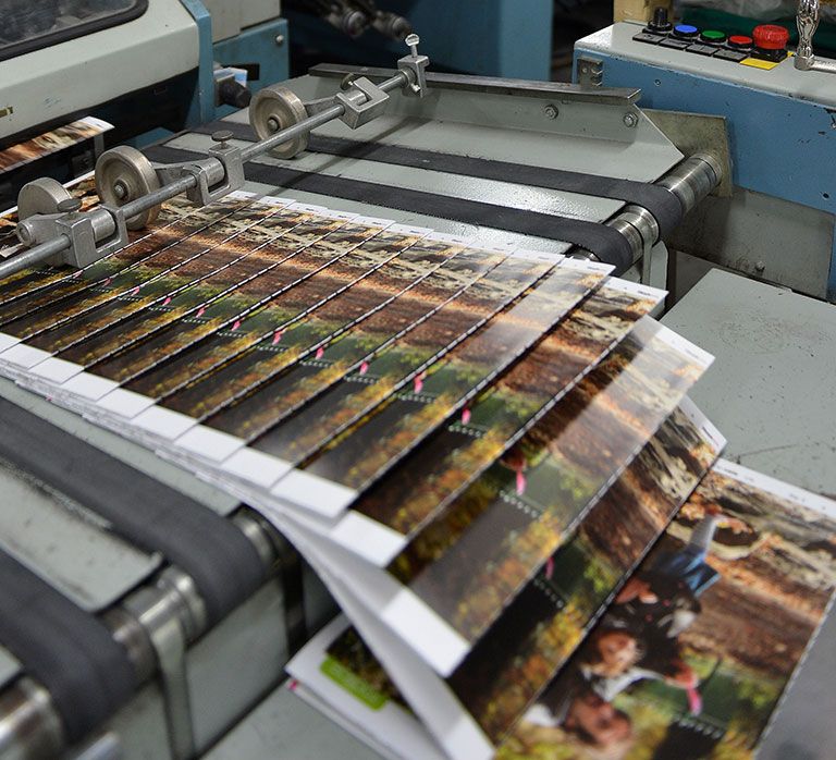 Perkembangan dan Peluang Bisnis Percetakan Foto di Era Digital foto tugas